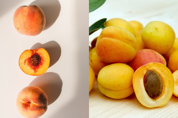 Peach vs. Apricot